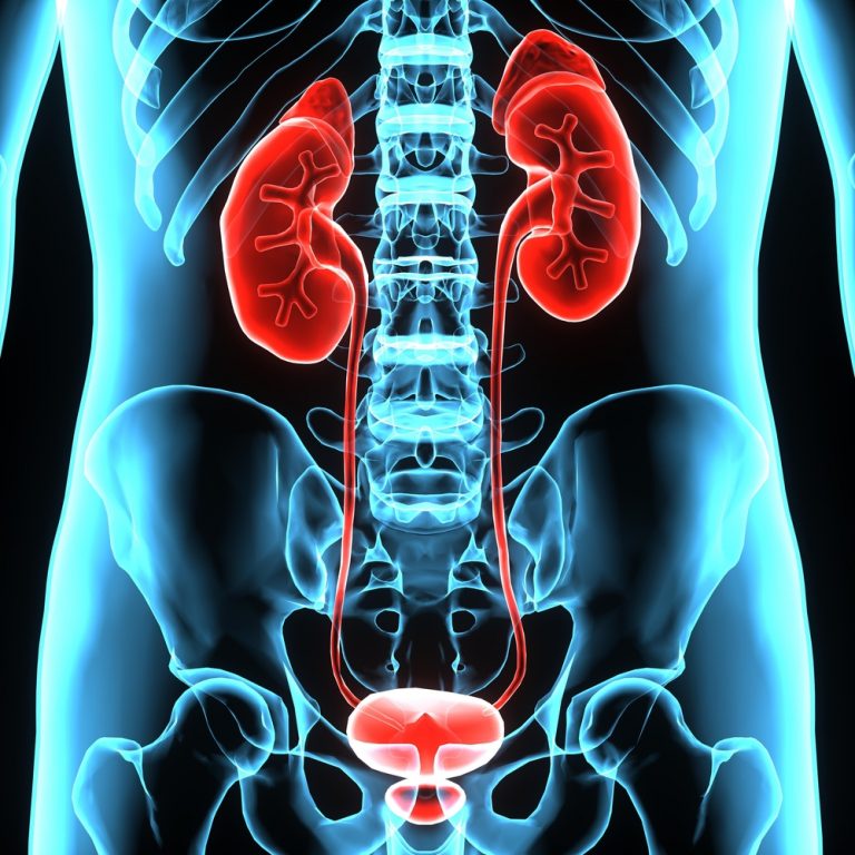 UTI Prescriptions Online SmartDocMD Online Doctors